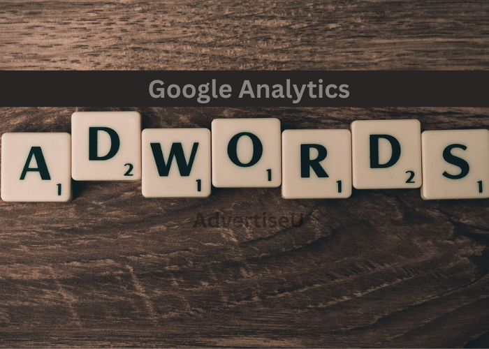 Google Ads and Analytics